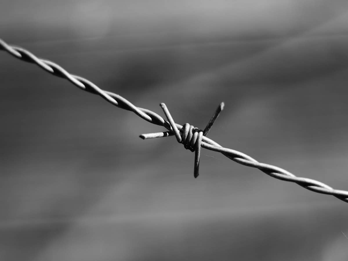 Close-up of barbed wire in black and white